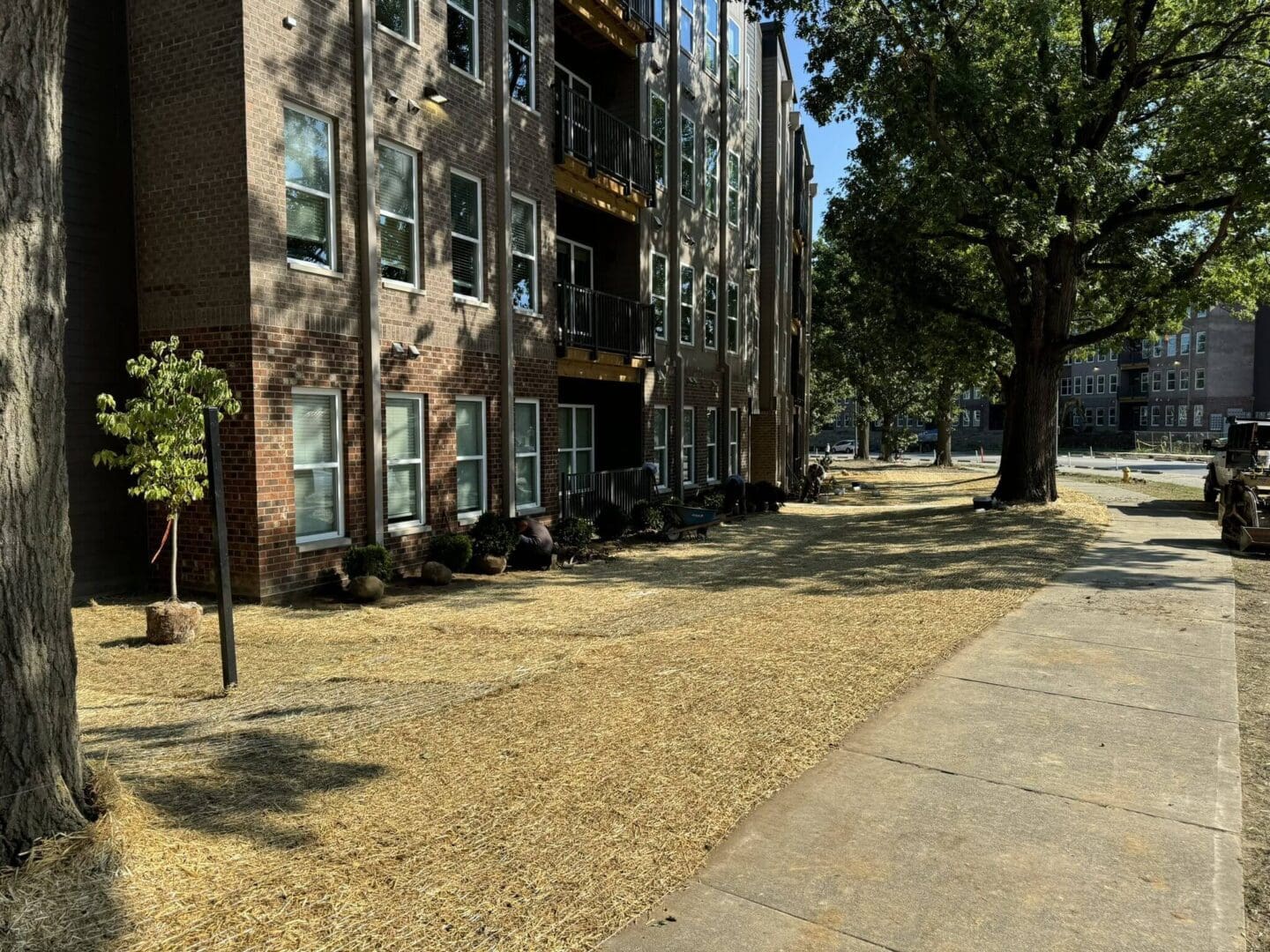 View of an apartment building with a dry, yellowed lawn and scattered trees.